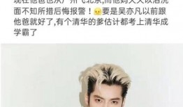 吴亦凡妈妈最新爆料消息,揭秘儿子事业低谷背后的真相