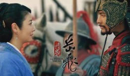 岳飞最新爆料视频播放,历史真相再掀波澜