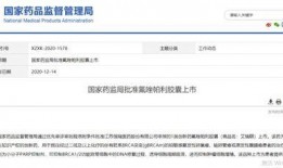 恒瑞医药最新爆料消息,重磅研发进展及市场动态全解析