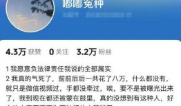 最新爆料谭竹,揭秘娱乐圈不为人知的秘密