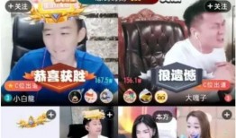 雷九最新爆料,揭秘娱乐圈最新动态与幕后真相