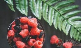 树莓最新爆料新闻,颠覆性创新技术即将亮相